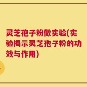 灵芝孢子粉做实验(实验揭示灵芝孢子粉的功效与作用)
