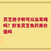 灵芝孢子粉可以治耳鸣吗？野生灵芝有药用价值吗