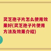 灵芝孢子片怎么使用效果好(灵芝孢子片使用方法及效果介绍)
