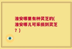 淮安哪里有种灵芝的(淮安哪儿可采摘到灵芝？)