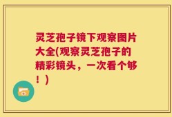 灵芝孢子镜下观察图片大全(观察灵芝孢子的精彩镜头，一次看个够！)