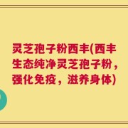 灵芝孢子粉西丰(西丰生态纯净灵芝孢子粉，强化免疫，滋养身体)