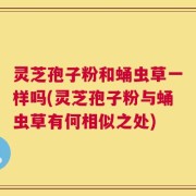 灵芝孢子粉和蛹虫草一样吗(灵芝孢子粉与蛹虫草有何相似之处)