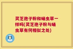 灵芝孢子粉和蛹虫草一样吗(灵芝孢子粉与蛹虫草有何相似之处)