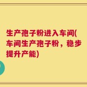 生产孢子粉进入车间(车间生产孢子粉，稳步提升产能)