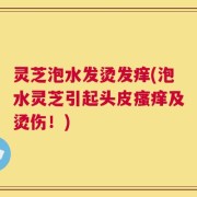 灵芝泡水发烫发痒(泡水灵芝引起头皮瘙痒及烫伤！)