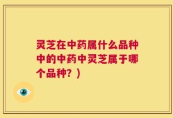 灵芝在中药属什么品种中的中药中灵芝属于哪个品种？)