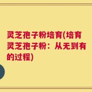 灵芝孢子粉培育(培育灵芝孢子粉：从无到有的过程)