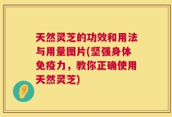 天然灵芝的功效和用法与用量图片(坚强身体免疫力，教你正确使用天然灵芝)