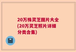 20万株灵芝图片大全(20万灵芝照片详细分类合集)
