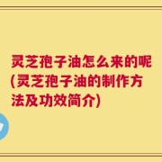 灵芝孢子油怎么来的呢(灵芝孢子油的制作方法及功效简介)