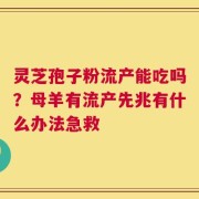 灵芝孢子粉流产能吃吗？母羊有流产先兆有什么办法急救
