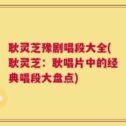 耿灵芝豫剧唱段大全(耿灵芝：耿唱片中的经典唱段大盘点)