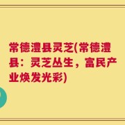 常德澧县灵芝(常德澧县：灵芝丛生，富民产业焕发光彩)