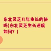 东北灵芝几年生长的快吗(东北灵芝生长速度如何？)