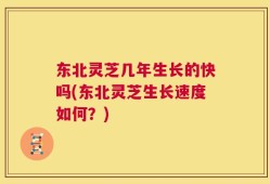 东北灵芝几年生长的快吗(东北灵芝生长速度如何？)