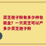 灵芝孢子粉有多少种包装盒？一只灵芝可以产多少灵芝孢子粉