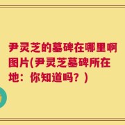 尹灵芝的墓碑在哪里啊图片(尹灵芝墓碑所在地：你知道吗？)
