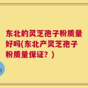 东北的灵芝孢子粉质量好吗(东北产灵芝孢子粉质量保证？)