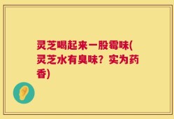 灵芝喝起来一股霉味(灵芝水有臭味？实为药香)