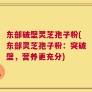 东部破壁灵芝孢子粉(东部灵芝孢子粉：突破壁，营养更充分)