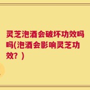 灵芝泡酒会破坏功效吗吗(泡酒会影响灵芝功效？)