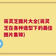 蒋灵芝图片大全(蒋灵芝在各种造型下的最佳图片集锦)