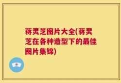 蒋灵芝图片大全(蒋灵芝在各种造型下的最佳图片集锦)