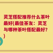 灵芝搭配推荐什么茶叶最好(最佳茶友：灵芝与哪种茶叶搭配最好？)