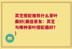 灵芝搭配推荐什么茶叶最好(最佳茶友：灵芝与哪种茶叶搭配最好？)
