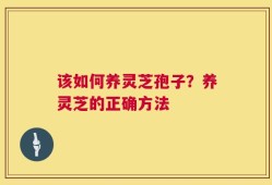 该如何养灵芝孢子？养灵芝的正确方法