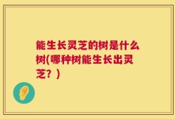 能生长灵芝的树是什么树(哪种树能生长出灵芝？)