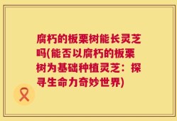 腐朽的板栗树能长灵芝吗(能否以腐朽的板栗树为基础种植灵芝：探寻生命力奇妙世界)