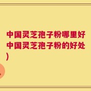 中国灵芝孢子粉哪里好中国灵芝孢子粉的好处)