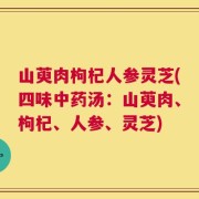 山萸肉枸杞人参灵芝(四味中药汤：山萸肉、枸杞、人参、灵芝)