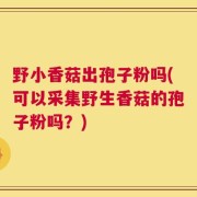 野小香菇出孢子粉吗(可以采集野生香菇的孢子粉吗？)