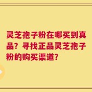 灵芝孢子粉在哪买到真品？寻找正品灵芝孢子粉的购买渠道？