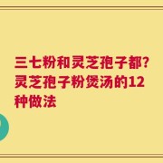 三七粉和灵芝孢子都？灵芝孢子粉煲汤的12种做法