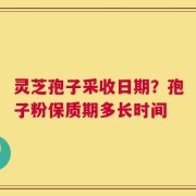 灵芝孢子采收日期？孢子粉保质期多长时间