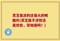 灵芝是凉的还是火的呢图片(灵芝属于凉性还是热性，你知道吗？)