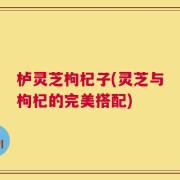 栌灵芝枸杞子(灵芝与枸杞的完美搭配)