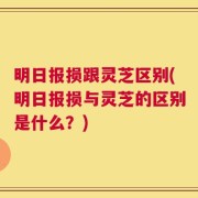 明日报损跟灵芝区别(明日报损与灵芝的区别是什么？)