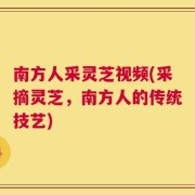 南方人采灵芝视频(采摘灵芝，南方人的传统技艺)