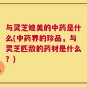 与灵芝媲美的中药是什么(中药界的珍品，与灵芝匹敌的药材是什么？)