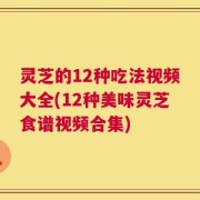 灵芝的12种吃法视频大全(12种美味灵芝食谱视频合集)