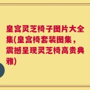 皇宫灵芝椅子图片大全集(皇宫椅套装图集，震撼呈现灵芝椅高贵典雅)