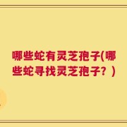 哪些蛇有灵芝孢子(哪些蛇寻找灵芝孢子？)