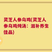 灵芝人参乌鸡(灵芝人参乌鸡炖汤：滋补养生佳品)