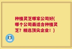 种植灵芝哪家公司好(哪个公司最适合种植灵芝？精选顶尖企业！)