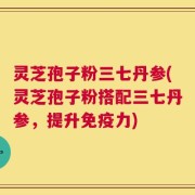 灵芝孢子粉三七丹参(灵芝孢子粉搭配三七丹参，提升免疫力)